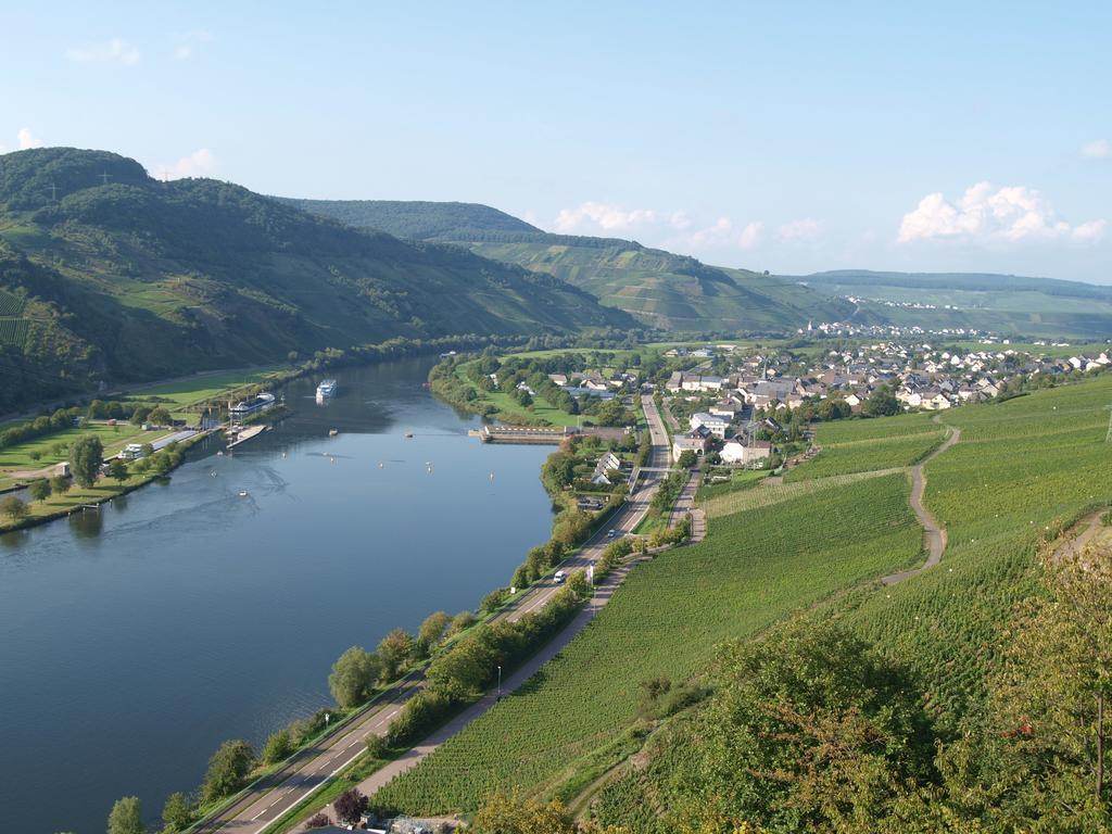 Ferienwohnung Weingut Gorges-Reinhard Wintrich Zimmer foto
