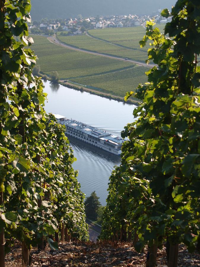 Ferienwohnung Weingut Gorges-Reinhard Wintrich Exterior foto